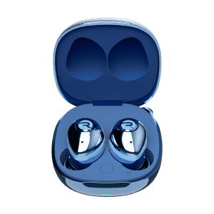 The Fitness Earbuds