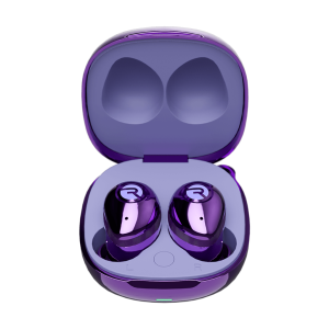 The Fitness Earbuds