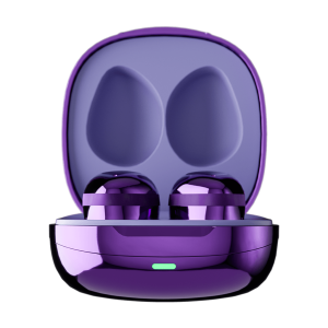 The Fitness Earbuds