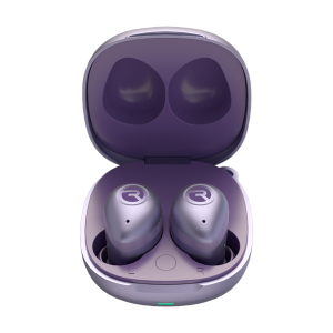 The Fitness Earbuds