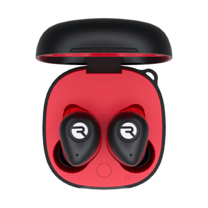 The Fitness Earbuds