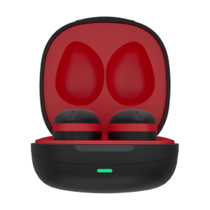 The Fitness Earbuds